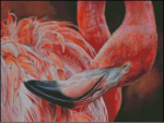 (image for) Flamingo 2